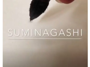 Suminagashi