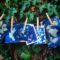 Cyanotype